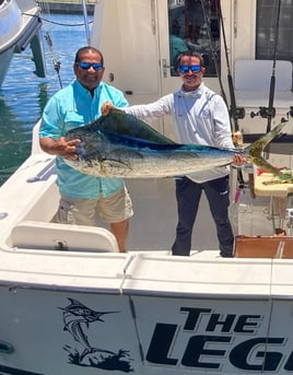 Deep-Sea in Blue Marlin Alley