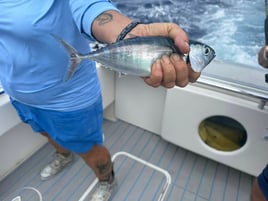 Islamorada Deep Sea Trophy Hunt