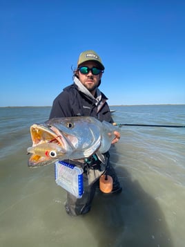 Rockport Tx Wade Fishing