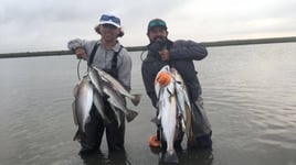 Rockport Tx Half Day Wade Fishing W/ Artificial