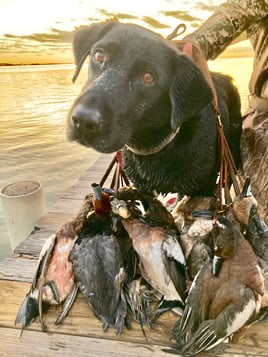 Bay Duck Hunting Trip -2 people