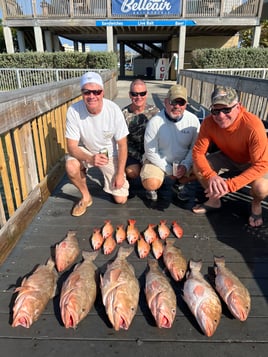 Grouper Diggin’