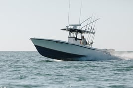 Grouper Diggin’