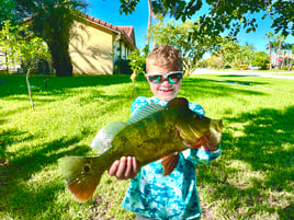 Shoreline Peacock Bass Fishing Charter