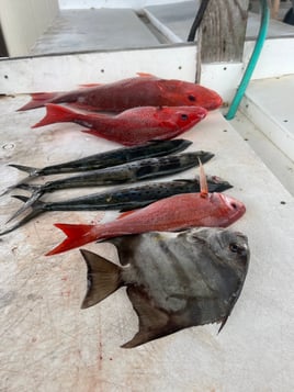 Four hour trolling trip