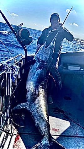 Ultimate Big Game Swordfish Trip