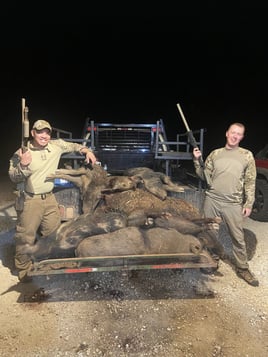 Hog Hunt
