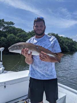Tampa Bay's Got It All!