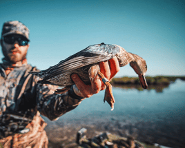 Duck Hunts