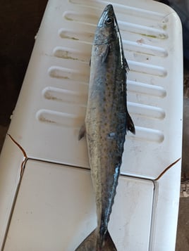 Offshore Fishing 4-People