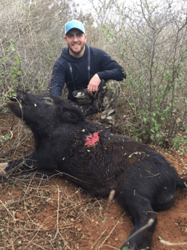 Hog Fishing in Carrizo Springs, Texas