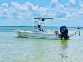 In or Near Shore Experience
