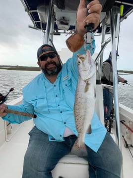 Texas "Big 3" Bay Assault