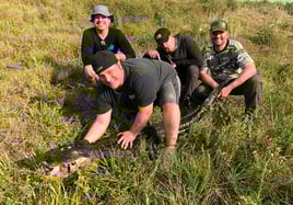 Florida Gator Takedown- 6'