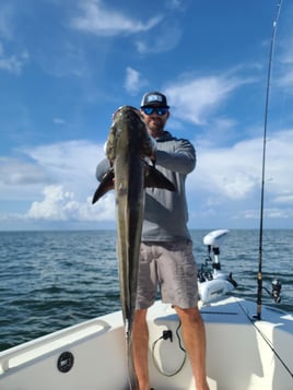 Crystal River Inshore
