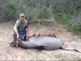 South Texas Nilgai Hunts