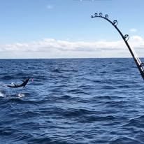 Rincon Blue Marlin Fishing