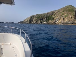 Rincon Blue Marlin Fishing