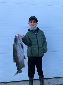 Lake Erie Steelhead Special