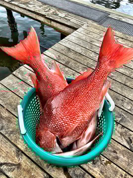 Offshore/Nearshore Fishing on the East Coast of FL