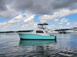 Full Day Off Shore Deep Sea Fishing