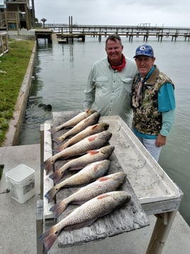 Rockport Airboat Redfishing!