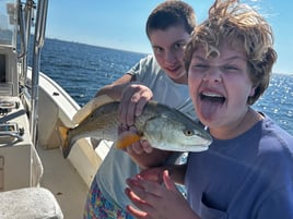 Florida Panhandle Inshore