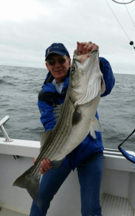 Striper Extravaganza!