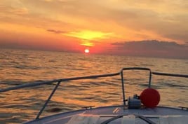 New York Sea Bass Thriller!