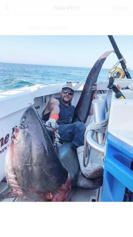 Thresher Shark Fishing Fun!