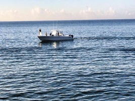 Tuna Marlin and More