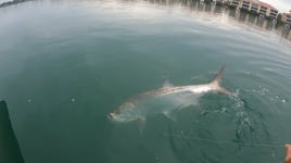Near shore