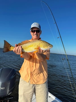 Half Day Inshore