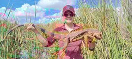 Iguana Fishing in Fort Lauderdale, Florida