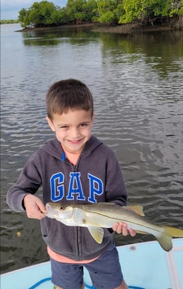 Snook Fishing in Naples, Florida