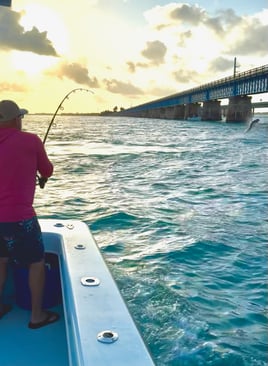 Top Notch Tarpon Trips