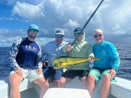 Swordfish Seeking