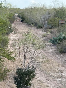 South Texas Pig Hunt