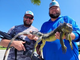 Cast and Blast Adventure 🐟🎣🦎