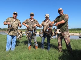Texas Teal