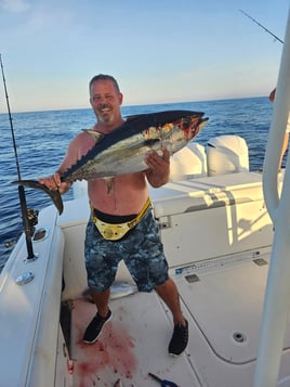 Blackfin Tuna Fishing in Bradenton, Florida