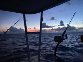 Classic Offshore Trip