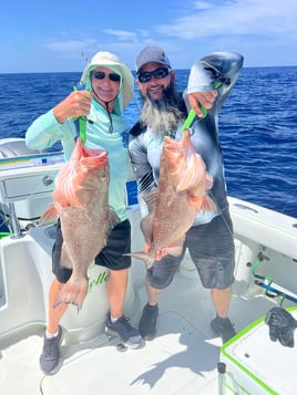 Luxury Bay Fishing Trips