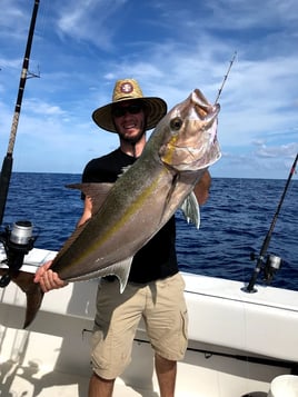 Offshore Fishing Experience