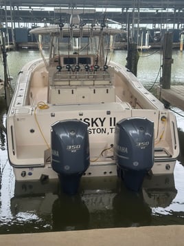 Deep Sea Fishing Excursion (8 or 12 Hour)