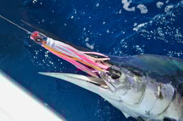 48 Hour Deep Sea