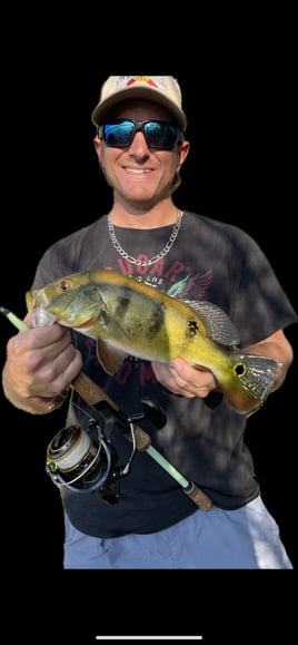 Peacock Bass Hunting in Cape Coral, Florida