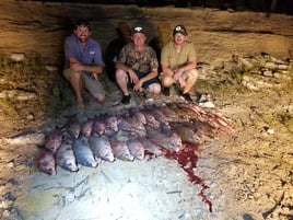 Private Lake Bowfishing