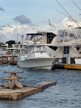 3/4 Day Mahi Trip