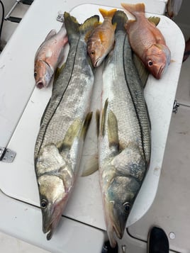 Inshore fishing